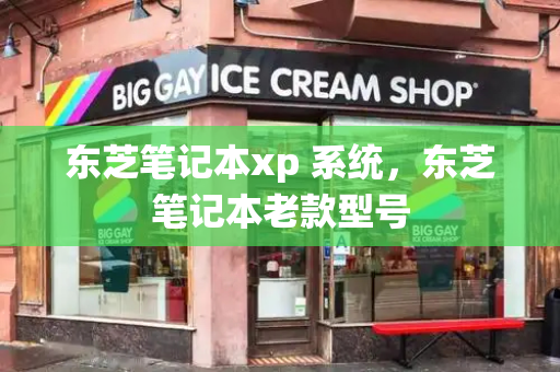 东芝笔记本xp 系统，东芝笔记本老款型号