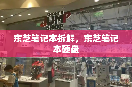 东芝笔记本拆解，东芝笔记本硬盘
