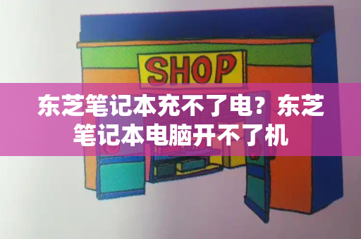 东芝笔记本充不了电？东芝笔记本电脑开不了机-第1张图片-星选测评