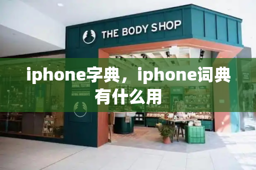 iphone字典，iphone词典有什么用