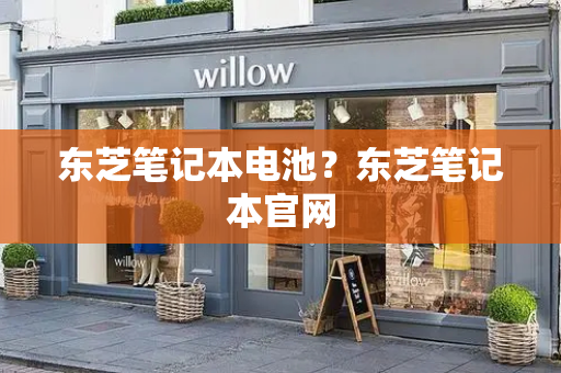 东芝笔记本电池？东芝笔记本官网