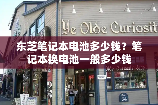 东芝笔记本电池多少钱？笔记本换电池一般多少钱