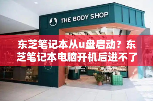 东芝笔记本从u盘启动？东芝笔记本电脑开机后进不了系统