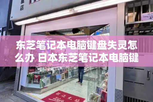 东芝笔记本电脑键盘失灵怎么办 日本东芝笔记本电脑键盘的使用方法