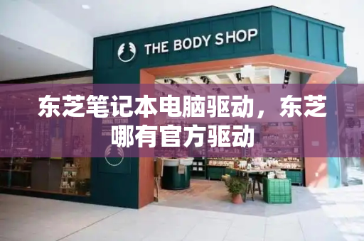 东芝笔记本电脑驱动，东芝哪有官方驱动