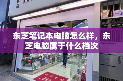 东芝笔记本电脑怎么样，东芝电脑属于什么档次