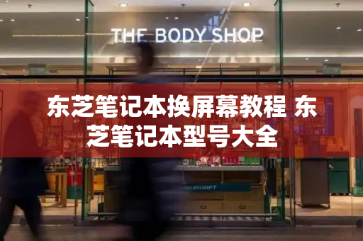 东芝笔记本换屏幕教程 东芝笔记本型号大全