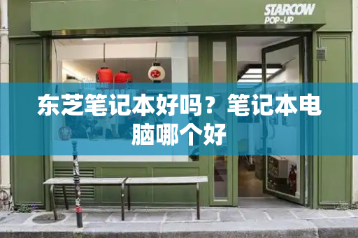 东芝笔记本好吗？笔记本电脑哪个好