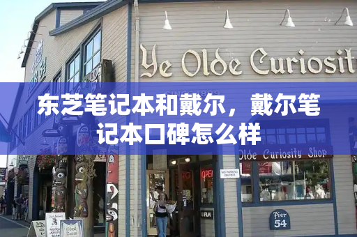东芝笔记本和戴尔，戴尔笔记本口碑怎么样-第1张图片-星选测评