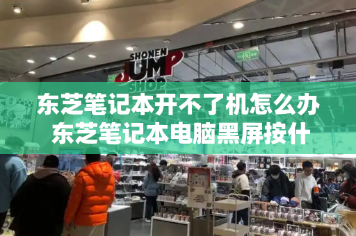 东芝笔记本开不了机怎么办 东芝笔记本电脑黑屏按什么键恢复