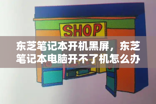 东芝笔记本开机黑屏，东芝笔记本电脑开不了机怎么办
