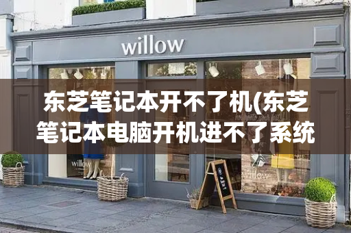 东芝笔记本开不了机(东芝笔记本电脑开机进不了系统)