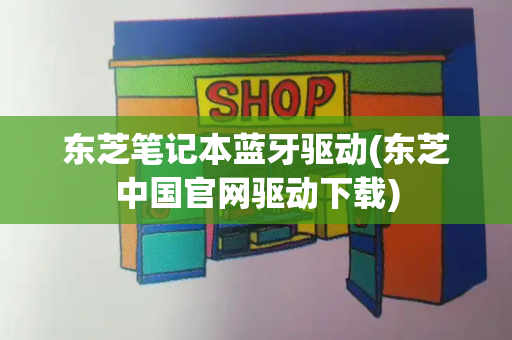 东芝笔记本蓝牙驱动(东芝中国官网驱动下载)-第1张图片-星选测评