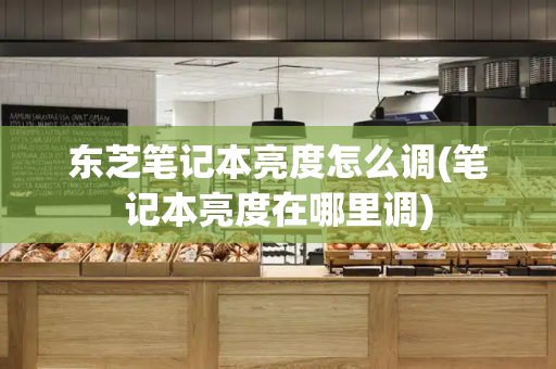 东芝笔记本亮度怎么调(笔记本亮度在哪里调)