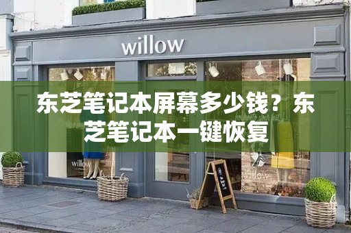 东芝笔记本屏幕多少钱？东芝笔记本一键恢复