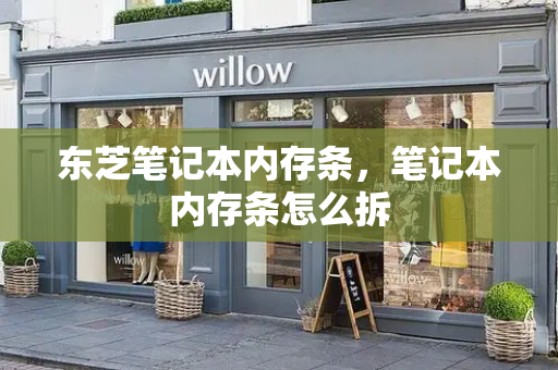 东芝笔记本内存条，笔记本内存条怎么拆