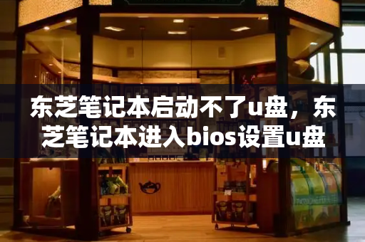 东芝笔记本启动不了u盘，东芝笔记本进入bios设置u盘启动
