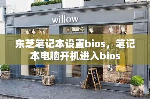 东芝笔记本设置bios，笔记本电脑开机进入bios-第1张图片-星选测评