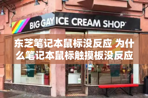 东芝笔记本鼠标没反应 为什么笔记本鼠标触摸板没反应