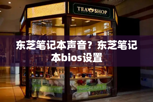 东芝笔记本声音？东芝笔记本bios设置