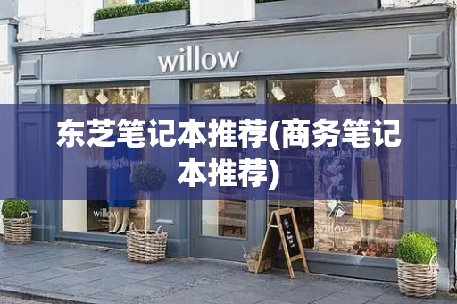 东芝笔记本推荐(商务笔记本推荐)