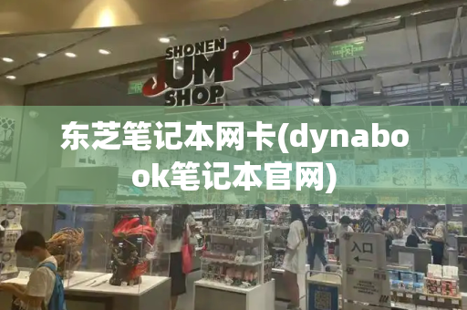 东芝笔记本网卡(dynabook笔记本官网)