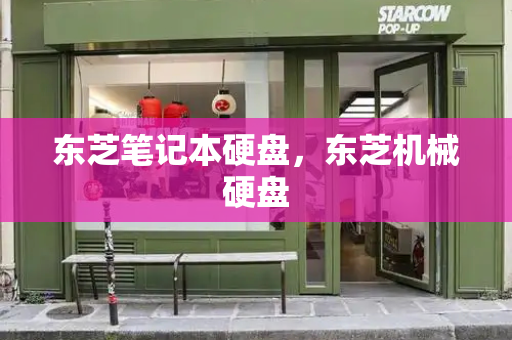 东芝笔记本硬盘，东芝机械硬盘