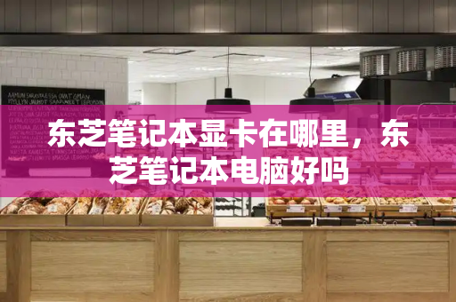 东芝笔记本显卡在哪里，东芝笔记本电脑好吗