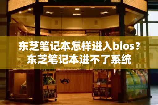 东芝笔记本怎样进入bios？东芝笔记本进不了系统-第1张图片-星选测评