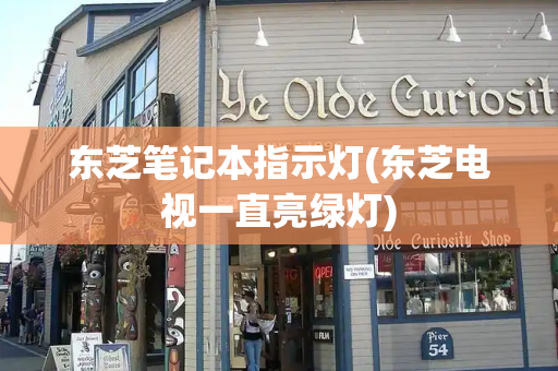 东芝笔记本指示灯(东芝电视一直亮绿灯)