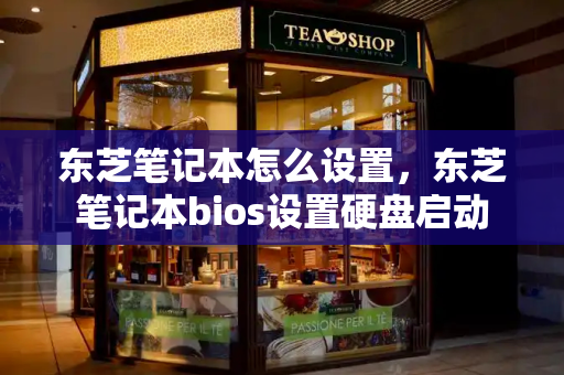 东芝笔记本怎么设置，东芝笔记本bios设置硬盘启动