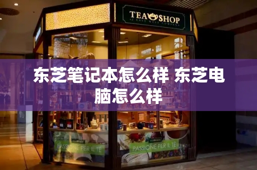 东芝笔记本怎么样 东芝电脑怎么样-第1张图片-星选测评
