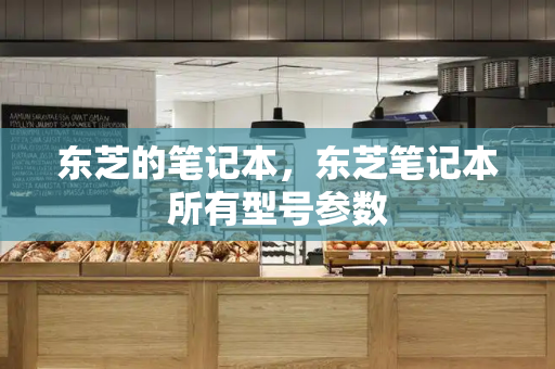 东芝的笔记本，东芝笔记本所有型号参数
