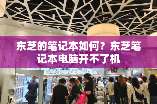 东芝的笔记本如何？东芝笔记本电脑开不了机