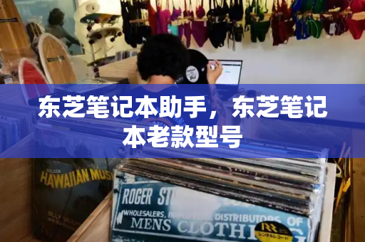 东芝笔记本助手，东芝笔记本老款型号