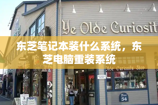 东芝笔记本装什么系统，东芝电脑重装系统