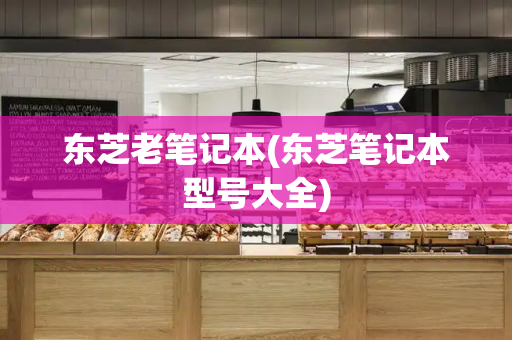 东芝老笔记本(东芝笔记本型号大全)