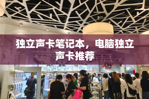 独立声卡笔记本，电脑独立声卡推荐-第1张图片-星选测评