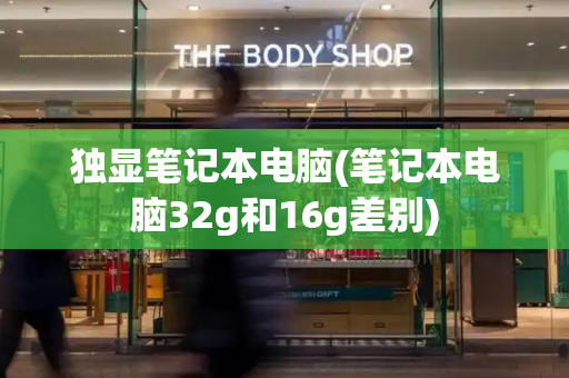 独显笔记本电脑(笔记本电脑32g和16g差别)-第1张图片-星选测评
