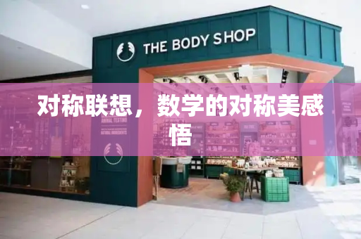 对称联想，数学的对称美感悟