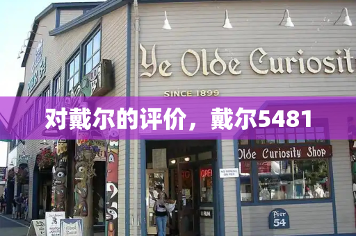 对戴尔的评价，戴尔5481-第1张图片-星选测评