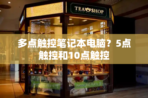 多点触控笔记本电脑？5点触控和10点触控-第1张图片-星选测评
