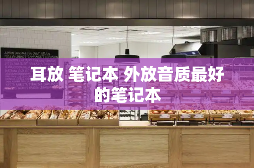 耳放 笔记本 外放音质最好的笔记本-第1张图片-星选测评