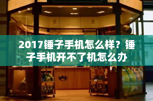 2017锤子手机怎么样？锤子手机开不了机怎么办-第1张图片-星选测评