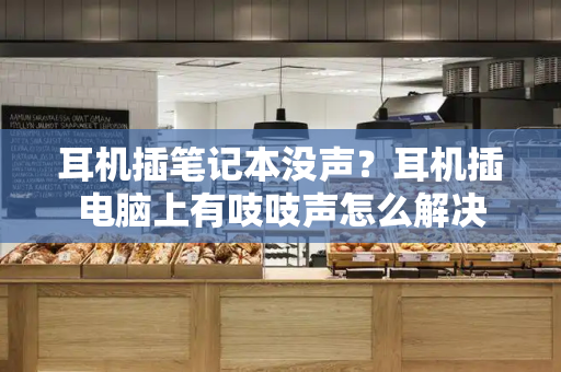 耳机插笔记本没声？耳机插电脑上有吱吱声怎么解决-第1张图片-星选测评