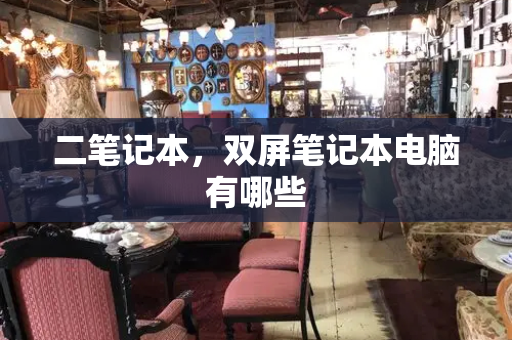二笔记本，双屏笔记本电脑有哪些-第1张图片-星选测评