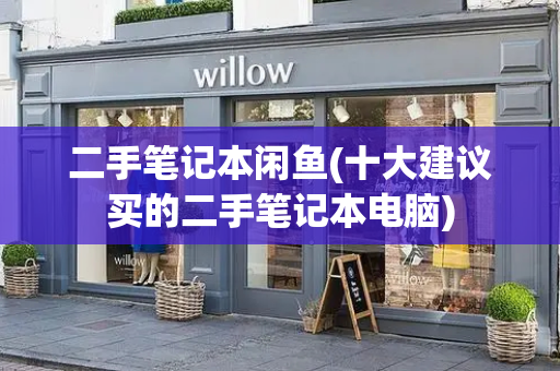二手笔记本闲鱼(十大建议买的二手笔记本电脑)-第1张图片-星选测评
