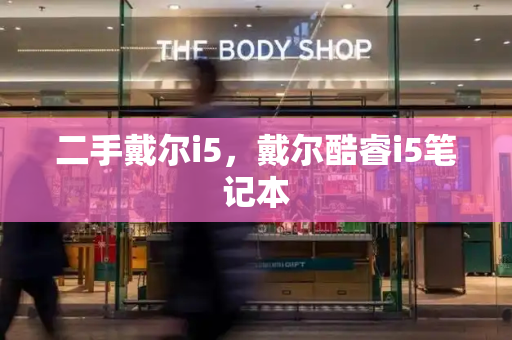 二手戴尔i5，戴尔酷睿i5笔记本-第1张图片-星选测评
