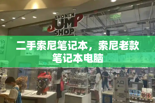 二手索尼笔记本，索尼老款笔记本电脑-第1张图片-星选测评