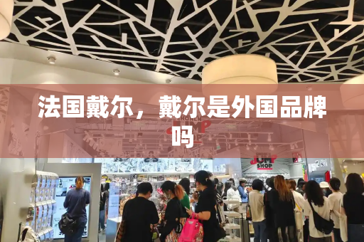 法国戴尔，戴尔是外国品牌吗